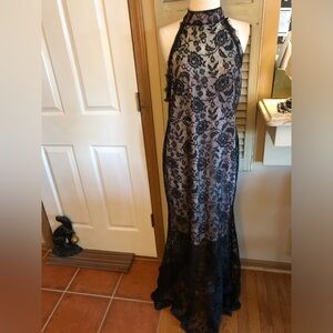 Eden Chic Black Lace Halter Neck Evening Dress